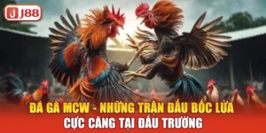 da-ga-mcw-nhung-tran-dau-boc-lua-cuc-cang-tai-dau-truong