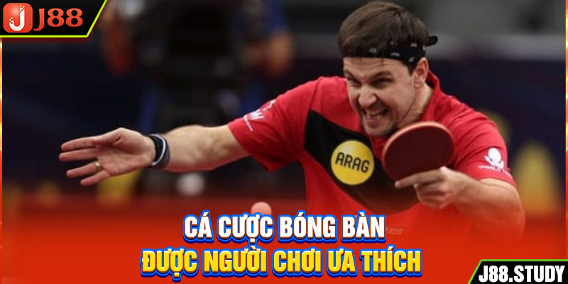 ca-cuoc-bong-ban-duoc-nguoi-choi-ua-thich-