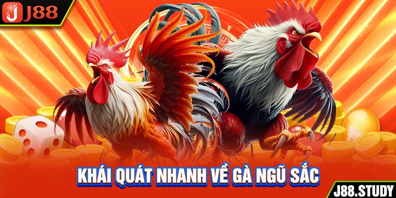 khai-quat-nhanh-ve-ga-ngu-sac