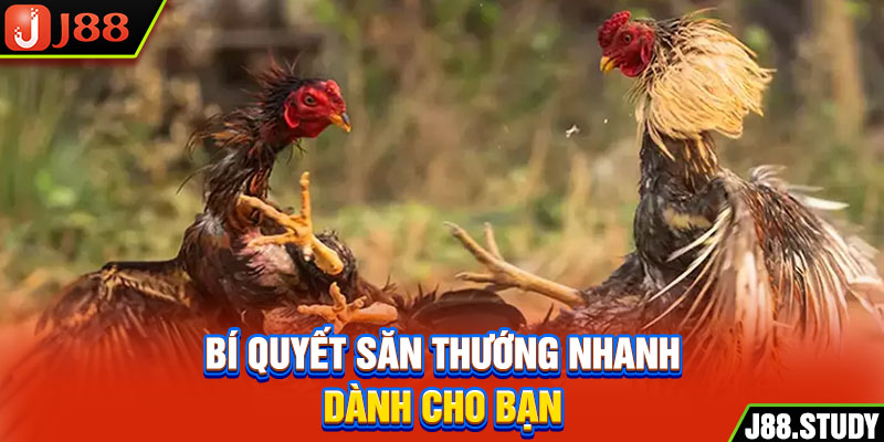 bi-quyet-san-thuong-nhanh-danh-cho-ban